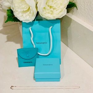 Tiffany & Co Elsa Perreti Chain Necklace